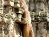 Cambodge - Angkor : Ta Phrom