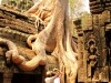 Cambodge - Angkor : Ta Phrom