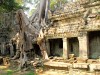 Cambodge - Angkor : Preah Khan