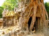 Cambodge - Angkor : Ta Som