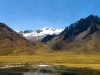 Pérou - route Cusco-Arequipa : Altiplano