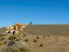 Pérou - route Arequipa-Puno : Altiplano - vigognes