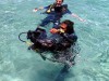 Indonésie - Bali : plongée à Menjangan