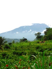 Indonésie - Bali : Sidemen, le volcan Gunung Agung