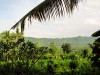 Indonésie - Bali : Sidemen, la vue depuis notre terrasse