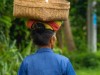 Indonésie - Bali : Sidemen