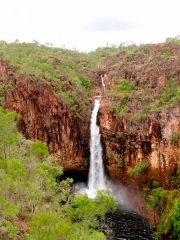 Australie - Parc national de Litchfield : Tolmer Falls