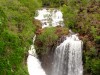 Australie - Parc national de Litchfield : Florence Falls