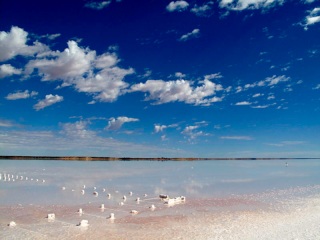 Australie : lac salé sur la route