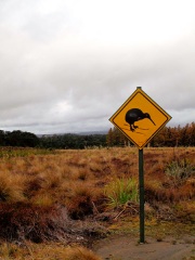 Nouvelle Zélande - Parc national Tongariro