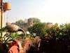 Inde - Jaipur : vue depuis la terrasse de notre guest house