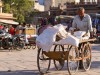 Inde - Jodhpur : scène de rue