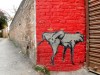 Népal - Katmandou : street art dans notre rue