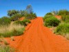 Australie : sur la route vers Kings Canyon