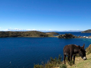 Bolivie - Isla del Sol