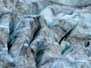 Nouvelle Zélande - Fox glacier NP : rando
