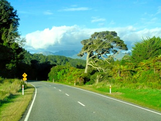 Nouvelle Zélande - on the road : vers Tauranga Bay