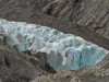 Nouvelle Zélande - Fox glacier NP : rando