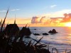 Nouvelle Zélande - Tauranga Bay : sunset