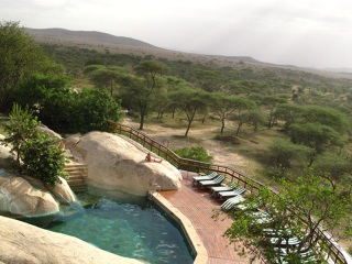 Serengeti : la piscine du lodge