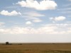 Serengeti : la plaine