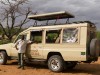 Serengeti : Willie et sa jeep