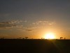 Serengeti : sunrise