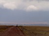 Ngorongoro : jeep sur une piste