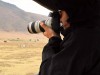 Ngorongoro : Benjamin, reporter d\'images