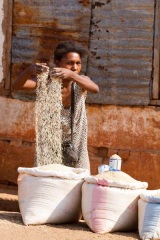 Madagascar - route de l'Ouest : vendeuse de riz