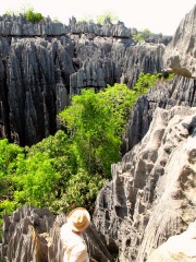 Madagascar - Tsingy de Bemaraha : sommet