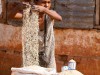 Madagascar - route de l'Ouest : vendeuse de riz