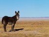 Bolivie : traversée du salar d\'Uyuni