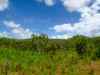 Australie - The Ghan : paysage après Darwin