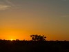 Australie - The Ghan : sunrise