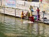Inde - Udaipur : nos premiers ghats