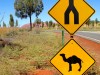 Australie - Ayers Rock : on se rapproche...