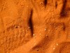 Australie - Ayers Rock : la couleur du sable