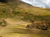 Pérou - Vallée de l'Inca : Moray