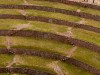 Pérou - Vallée de l\'Inca : Moray