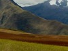 Pérou - Vallée de l\'Inca