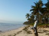 Zanzibar - Matemwe : Charlie prend le soleil