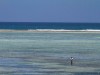 Zanzibar - Matemwe : la culture des algues