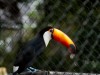 Bolivie : Zoo de Santa Cruz