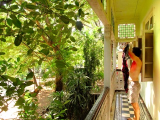 Inde - Mumbaï : notre balcon